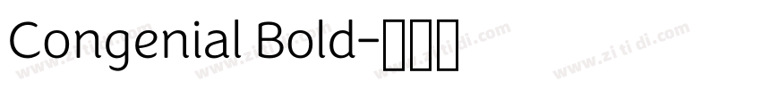 Congenial Bold字体转换